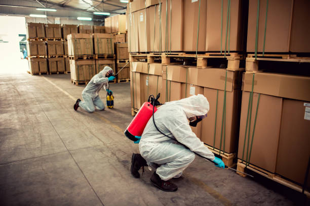 Best Affordable Pest Control Services  in Norfolk, NE