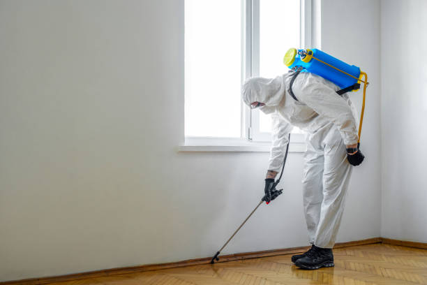 Best Pest Control for Businesses  in Norfolk, NE