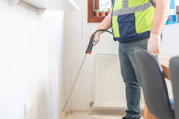 Best Wasp Removal Services  in Norfolk, NE